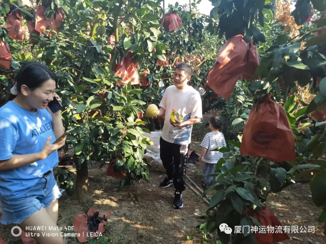 &#28216;&#33351;&#20250;&#40;&#20013;&#25991;&#41;&#23448;&#26041;&#32593;&#31449;